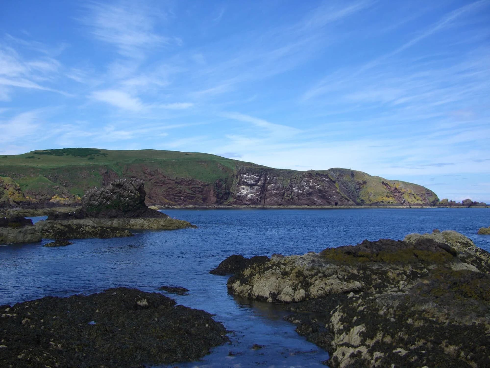 Vets in Berwickshire