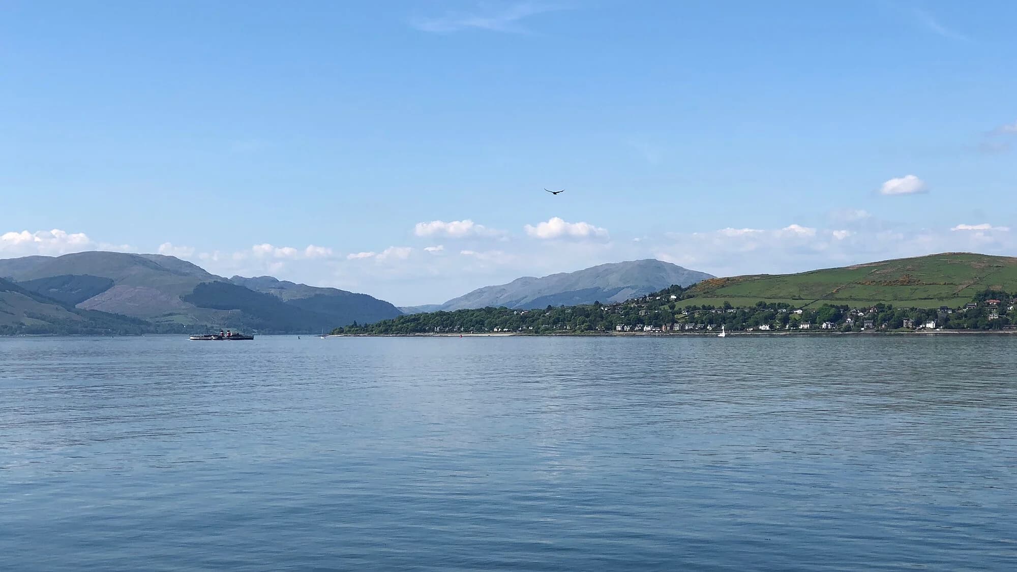 Vets in Dunbartonshire