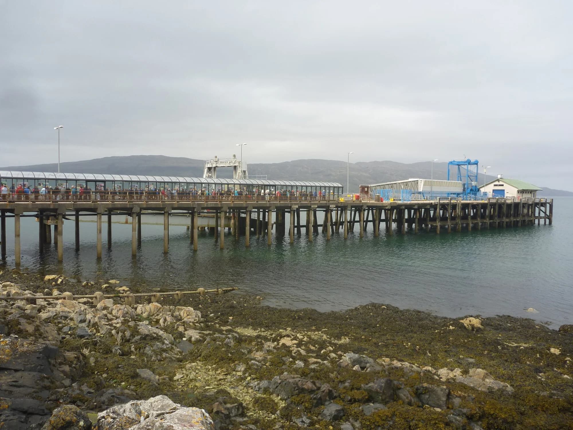 Vets in Isle Of Mull