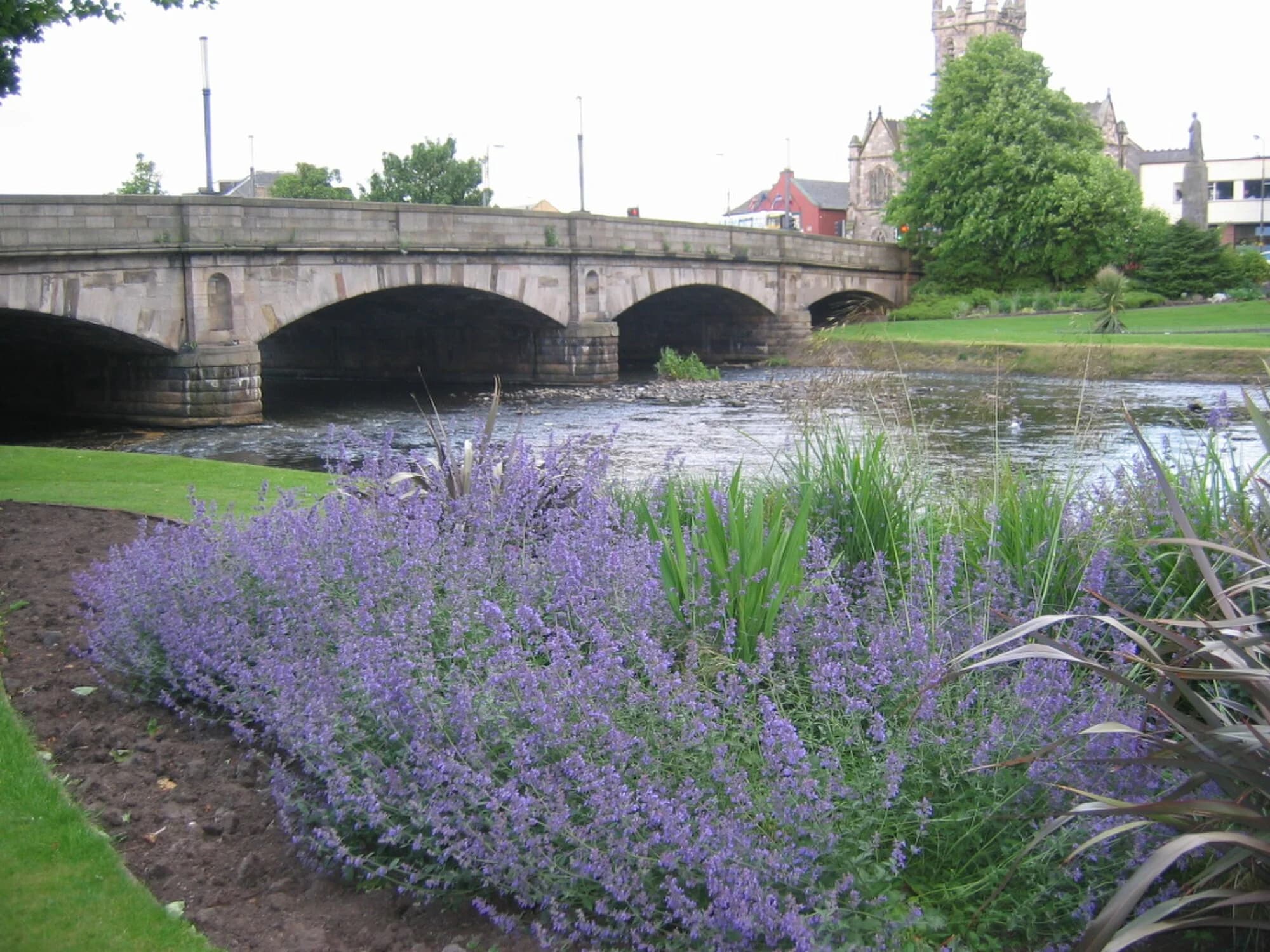 Vets in Musselburgh