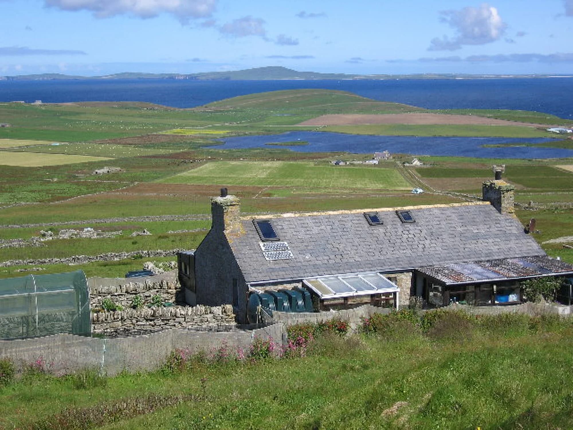 Vets in Orkney